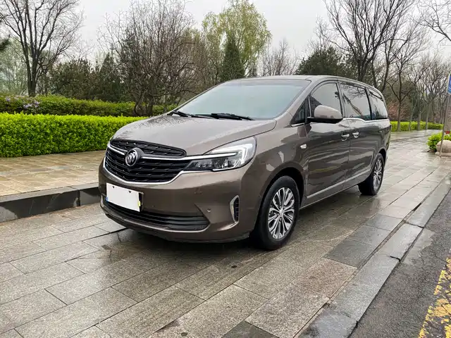 Buick Buick Gl8 Buick Gl8 2021 Land Business Class 652t Premium Type — фото