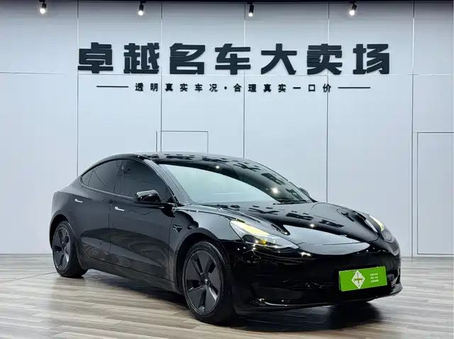 Tesla Model 3 Model 3 2022 Rear-Wheel Drive Version