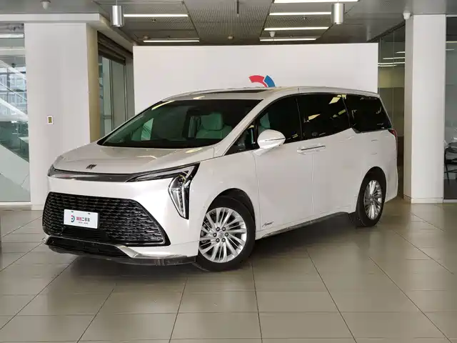 Buick Century Century 2025 2.0t Seven-Seat Yuanshi Edition