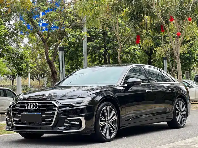 Audi Audi A6l Audi A6l 2024 45 Tfsi Premium Dynamic Model — фото