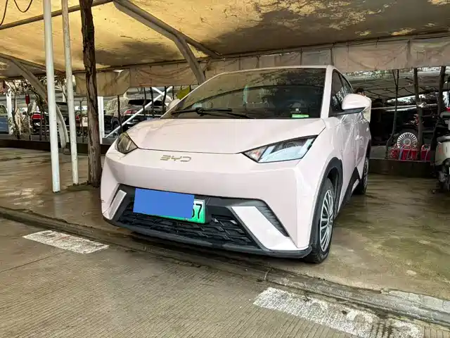 Byd Seagull Seagull 2024 Honor Edition 305km Vitality Edition — фото
