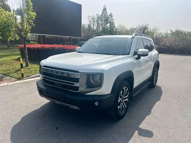 Harvard Harvard Dog Haval Big Dog 2024 1.5t Dct Border Collie Edition