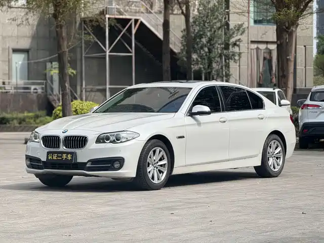 Bmw Bmw 5 Series Bmw 5 Series 2017 520li Elegant — фото