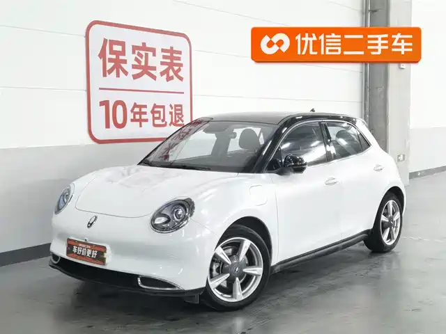 Euler Euler Good Cat Euler Good Cat 2022 Model 400km Standard Battery Life Premium Type Ternary Lithium