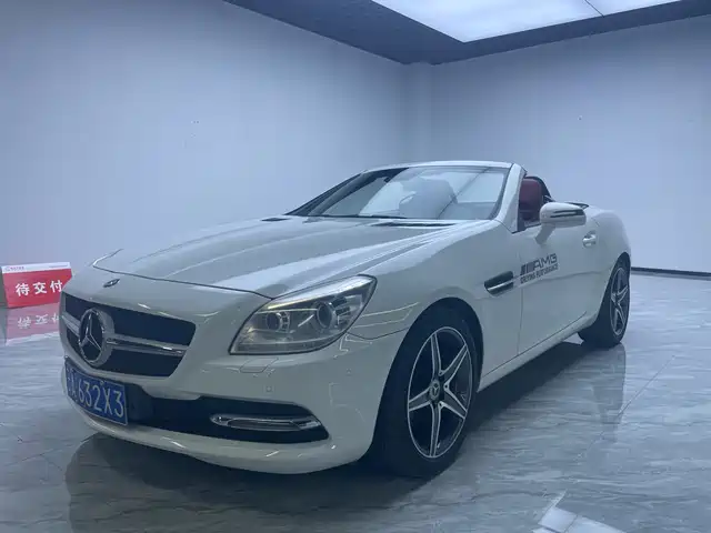 Mercedes-Benz Mercedes Benz Slk Class Mercedes-Benz Slk-Class 2011 Slk 200 Luxury Sports Model — фото