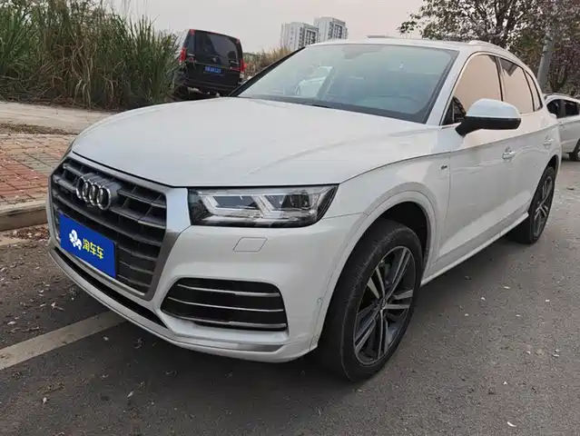 Audi Audi Q5l Audi Q5l 2020 45 Tfsi Exclusive Fashion Model — фото