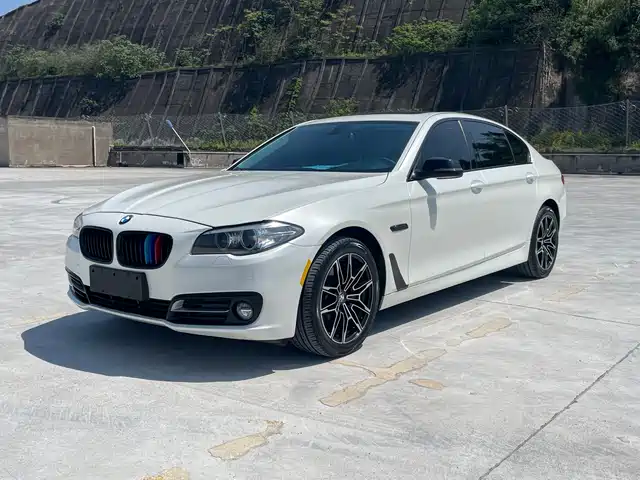 Bmw Bmw 5 Series Bmw 5 Series 2013 520li Elegant — фото