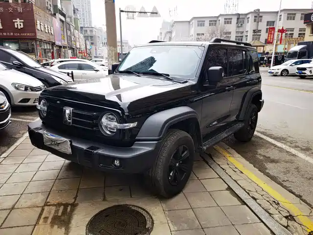 Tank Tank 300 Tank 300 2025 2.0t Conqueror