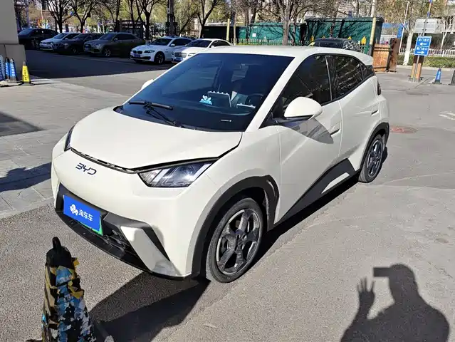 Byd Seagull Seagull 2024 Honor Edition 405km Flying Edition