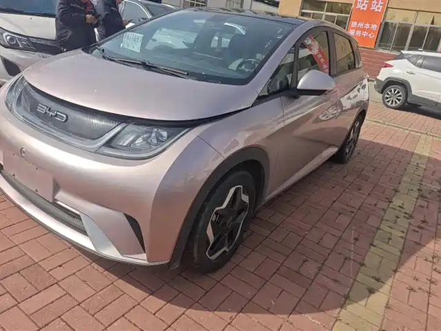 Byd Dolphin Dolphin 2021 405km Fashion Version — фото