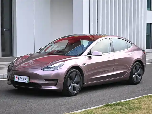 Tesla Model 3 (imported) Model 3 Imported 2019 Standard Range Rear Drive Upgraded Version — фото