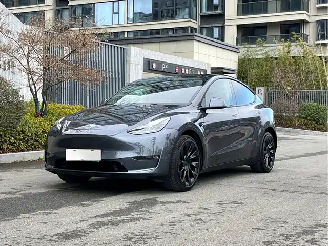 Tesla Model Y Model Y 2021 Long-Range All-Wheel Drive Version — фото