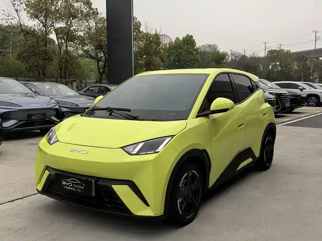 Byd Seagull Seagull 2024 Honor Edition 405km Flying Edition