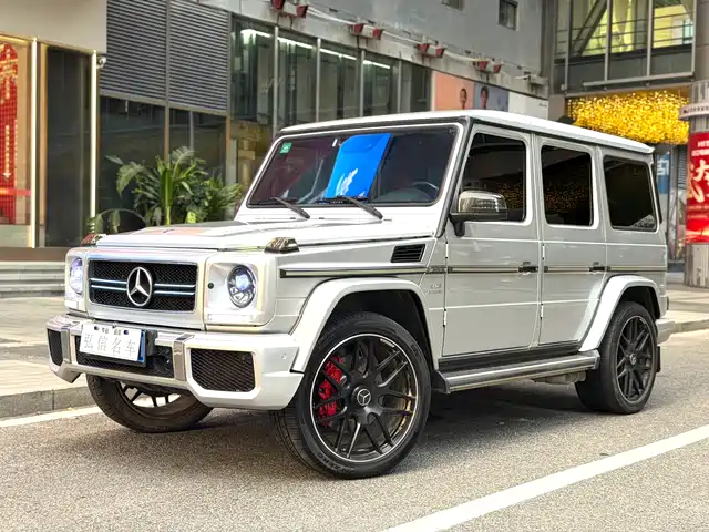 Mercedes-Benz Mercedes Benz G Class Mercedes-Benz G-Class 2010 G 500