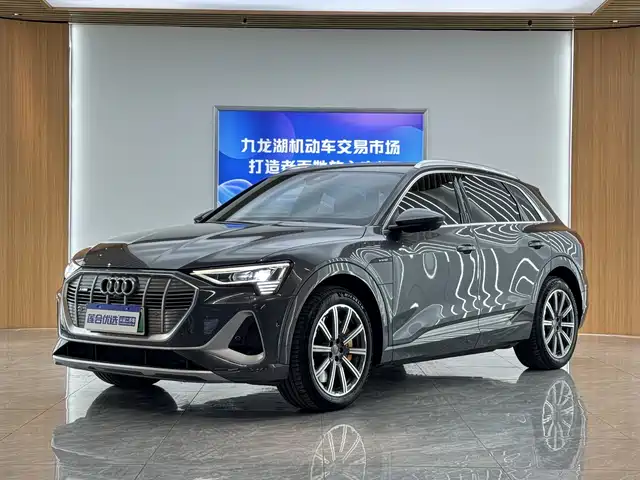 Audi Audi E-Tron Audi E-Tron 2021 50 Quattro Premium Model — фото
