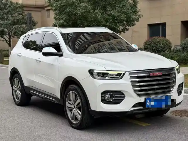 Harvard Haval H6 Haval H6 2017 Red Label 1.5t Automatic Two-Wheel Drive Smart Model — фото