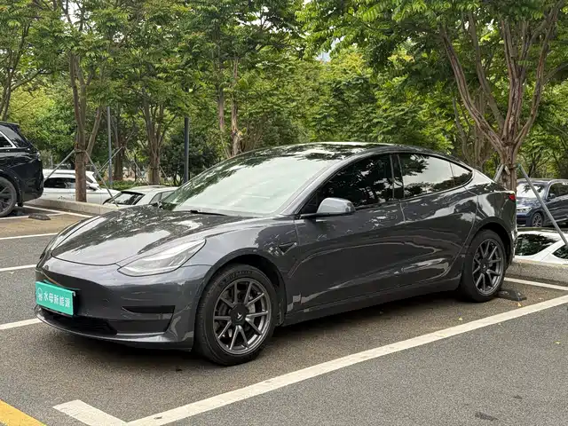 Tesla Model 3 Model 3 2019 Standard Range Rear Drive Upgraded Version — фото