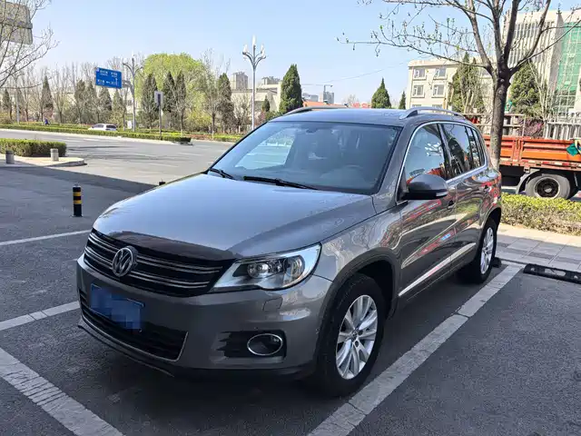 Volkswagen Tiguan Tiguan 2010 2.0tsi Automatic Four-Wheel Drive Flagship Navigation Version