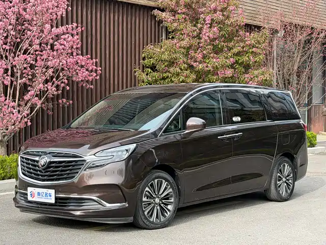 Buick Buick Gl8 Buick Gl8 2020 Es Lu Zun 653t Luxury Model