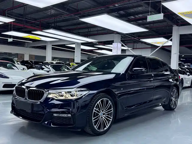 Bmw Bmw 5 Series Bmw 5 Series 2018 Facelift 530li Leading M Sports Package