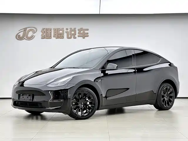 Tesla Model Y Model Y 2022 Long-Range All-Wheel Drive Version