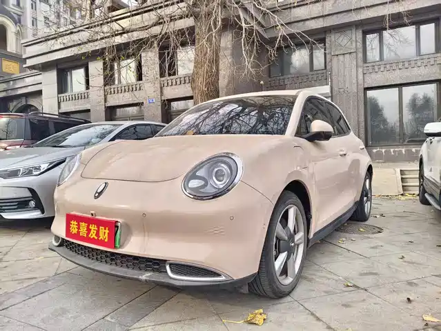 Euler Euler Good Cat Euler Good Cat 2021 Model 400km Standard Battery Life Athena Version Ternary Lithium — фото