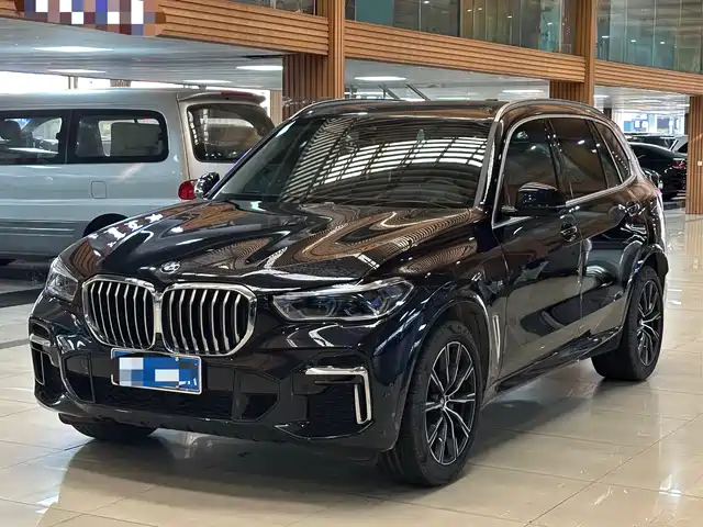 Bmw Bmw X5 Bmw X5 2022 Facelift Xdrive 30li Exclusive M Sports Package — фото