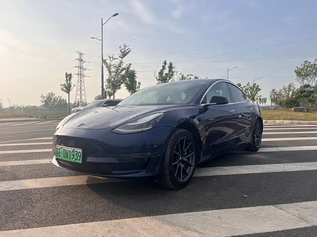 Tesla Model 3 Model 3 2020 Facelift Standard Range Rear-Wheel Drive Upgraded Version — фото