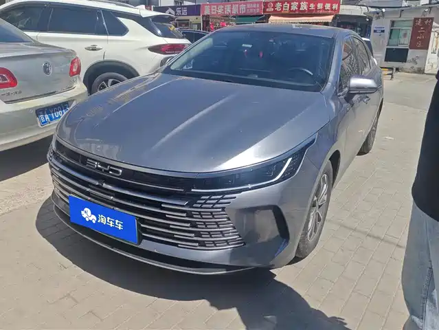 Byd Destroyer 05 Destroyer 05 2024 Honor Edition Dm-I 55km Luxury Type — фото