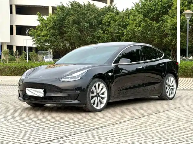 Tesla Model 3 Model 3 2020 Long-Range Rear-Wheel Drive Version — фото