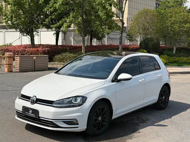 Volkswagen Golf Golf 2019 280tsi Dsg Comfort Model National Vi — фото
