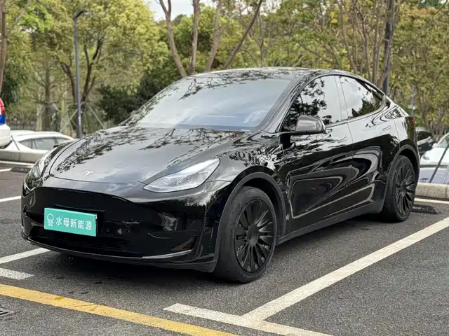 Tesla Model Y Model Y 2022 Facelift Rear-Wheel Drive Version — фото