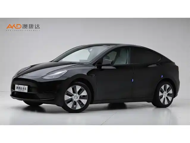 Tesla Model Y Model Y 2022 Facelift Rear-Wheel Drive Version — фото