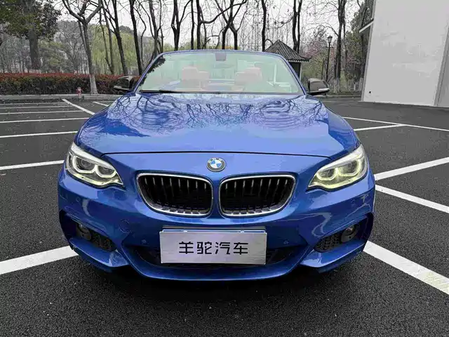 Bmw Bmw 2 Series (Imported) Bmw 2 Series Imported 2015 220i Convertible Coupe M Sports — фото