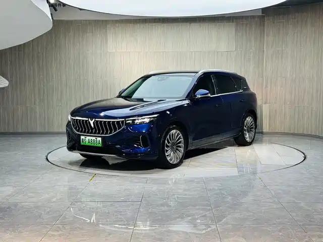 Lantu Automobile Lantu Free Lantu Free 2021 Four-Wheel Drive Standard Extended Range Exclusive Luxury Package