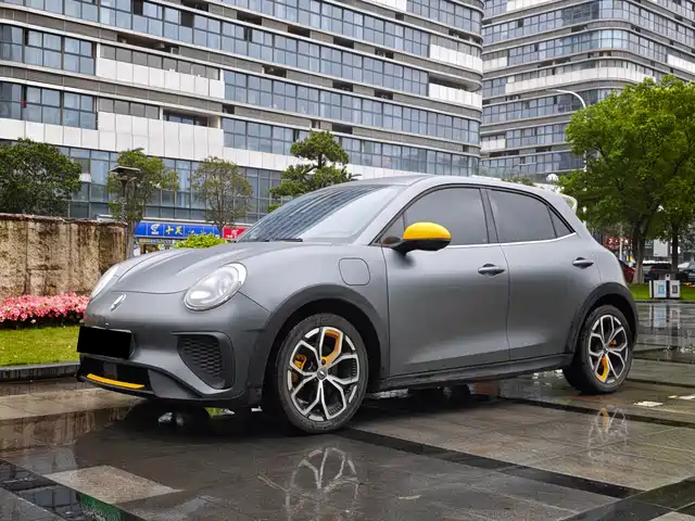 Euler Euler Good Cat Gt Euler Good Cat Gt 2023 Mulan Edition 401km Premium Model — фото