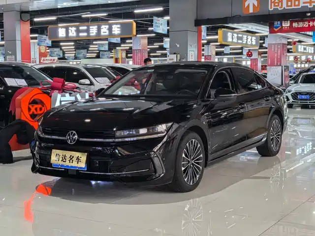 Volkswagen Magotan Magotan 2024 380tsi Dsg Premium Edition Damai Bag — фото