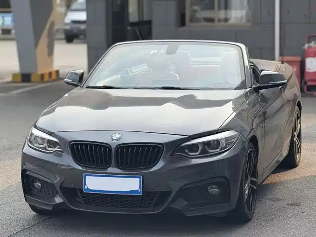 Bmw Bmw 2 Series (Imported) Bmw 2 Series Imported 2019 225i Convertible Coupe Exclusive M Sports Package — фото