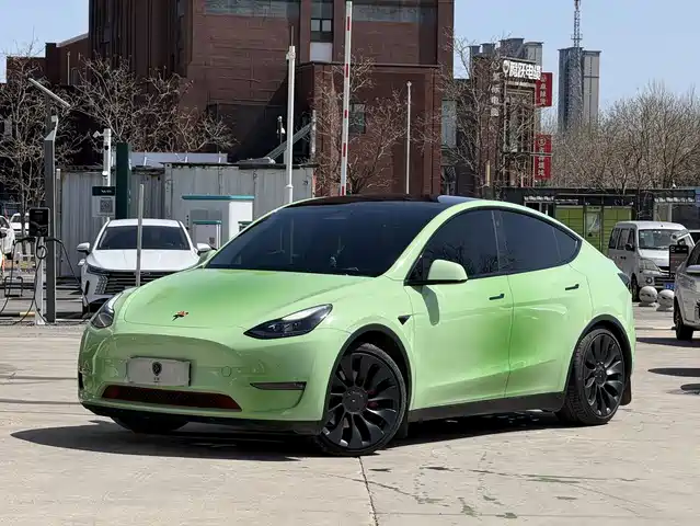 Tesla Model Y Model Y 2022 Performance High-Performance All-Wheel Drive Version