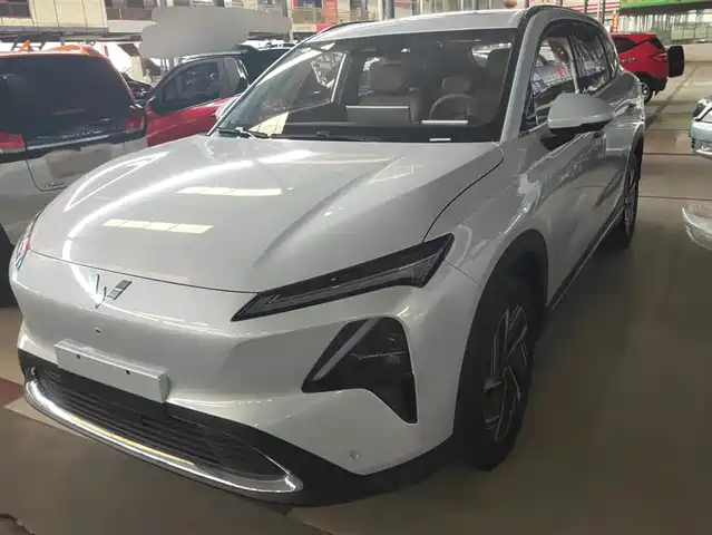 Wuling Motors Wuling Starlight S Wuling Starlight S 2024 130km Flagship Model