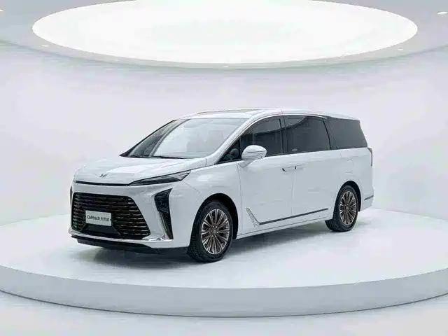 Buick Buick Gl8 Buick Gl8 2025 Lu Zun Smart Edition