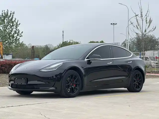Tesla Model 3 Model 3 2021 Standard Range Rear Drive Upgraded Version — фото