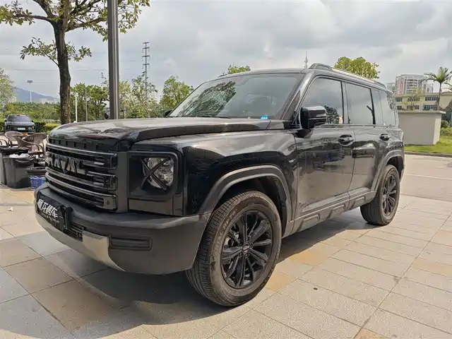 Harvard Haval Raptors New Energy Haval Raptor New Energy 2024 Hi4 102 Pro — фото