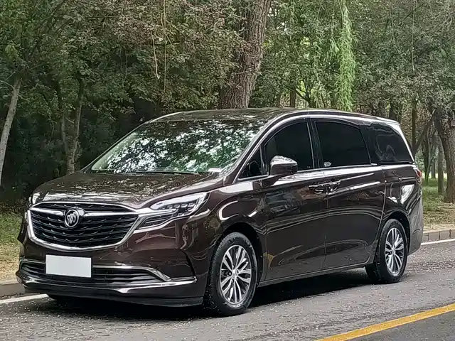 Buick Buick Gl8 Buick Gl8 2021 Es Lu Zun 653t Exclusive Model — фото