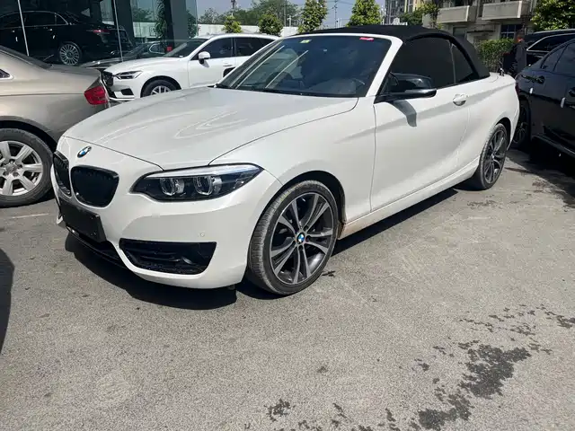 Bmw Bmw 2 Series (Imported) Bmw 2 Series (Imported) 2019 225i Convertible Coupe Sports Design Package