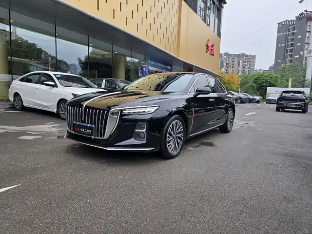 Red Flag Hongqi H5 Hongqi H5 2025 2.0t Automatic Qichang 500,000 Units Commemorative Edition — фото
