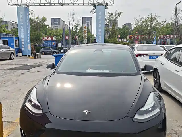 Tesla Model 3 Model 3 2020 Standard Range Rear Drive Upgraded Version — фото