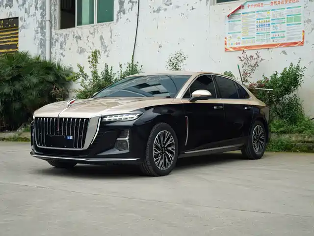 Red Flag Hongqi H5 Hongqi H5 2024 2.0t Automatic Zhilianqichang Edition — фото