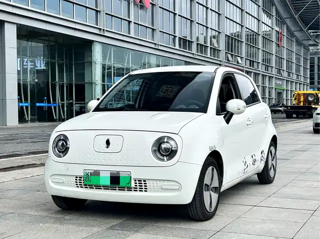 Euler Euler Black Cat Euler Black Cat 2019 351km Smart Edition — фото