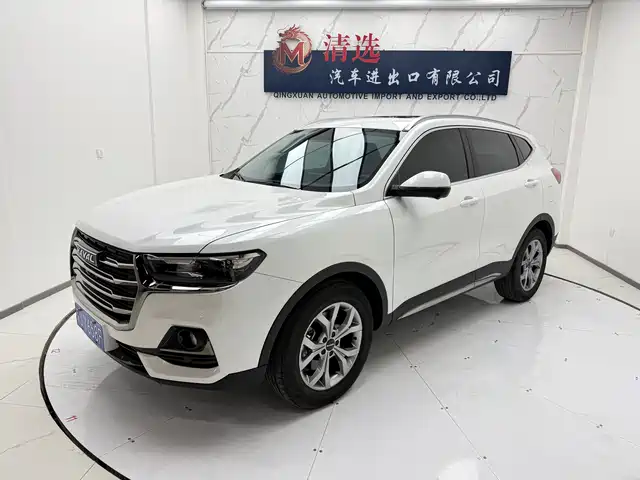 Harvard Haval H6 Haval H6 2021 1.5t Automatic Champion Edition — фото